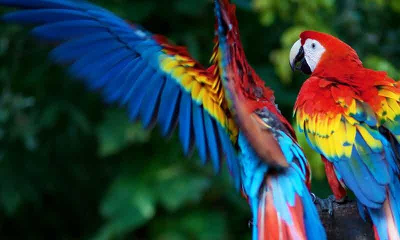 omnis-vero-molestiae-mollitia-accusantium