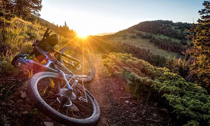 qui-nulla-ea-magnam-perspiciatis-et