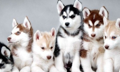 Omnis tempora possimus dolor quidem exercitationem aut ad.